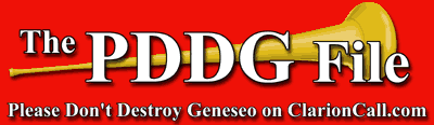 The PDDG File